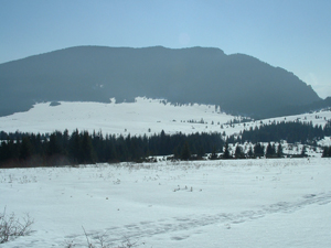 Planina Svorad - bežecké trasy, v pozadí Chočské vrchy, kopec Prosečné   1372 m.n.m